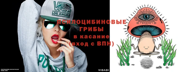 сатива Покровск