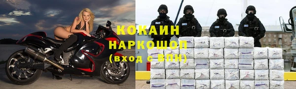 сатива Покровск
