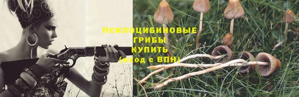 сатива Покровск